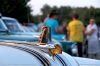 Filename=CSM_03.JPG
Filesize=229KiB
Dimensions=1024x683
Date added=Aug 26, 2013 CSM_03.JPG