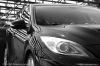 Filename=paddock_20~0.JPG
Filesize=217KiB
Dimensions=1024x683
Date added=Jul 13, 2013 paddock_20~0.JPG