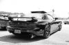 Filename=paddock_44.JPG
Filesize=214KiB
Dimensions=1024x683
Date added=Jul 13, 2013 paddock_44.JPG