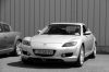 Filename=paddock_79.JPG
Filesize=186KiB
Dimensions=1024x683
Date added=Jul 13, 2013 paddock_79.JPG