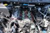 Filename=paddock_81.JPG
Filesize=375KiB
Dimensions=1024x683
Date added=Jul 13, 2013 paddock_81.JPG